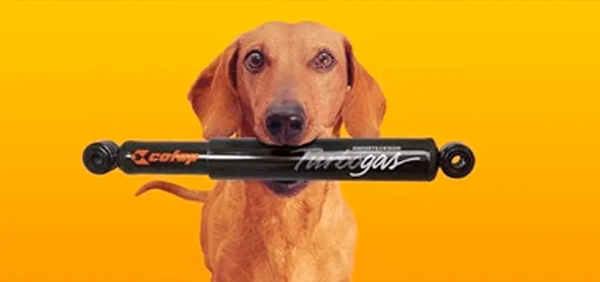 Cachorrinho Cofap